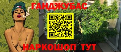 прущие грибы Кимры