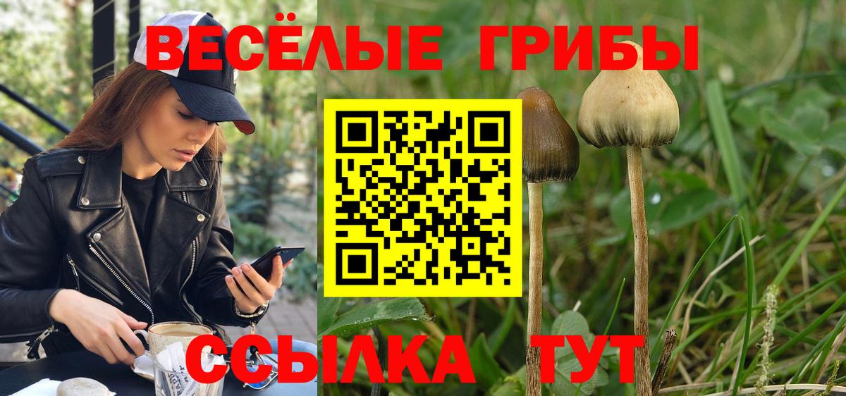 Галлюциногенные грибы MAGIC MUSHROOMS Чапаевск