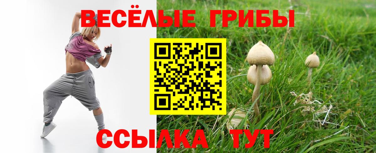 Галлюциногенные грибы прущие грибы  Вход с VPN  Галлюциногенные грибы мухоморы  купить закладку  Чапаевск 